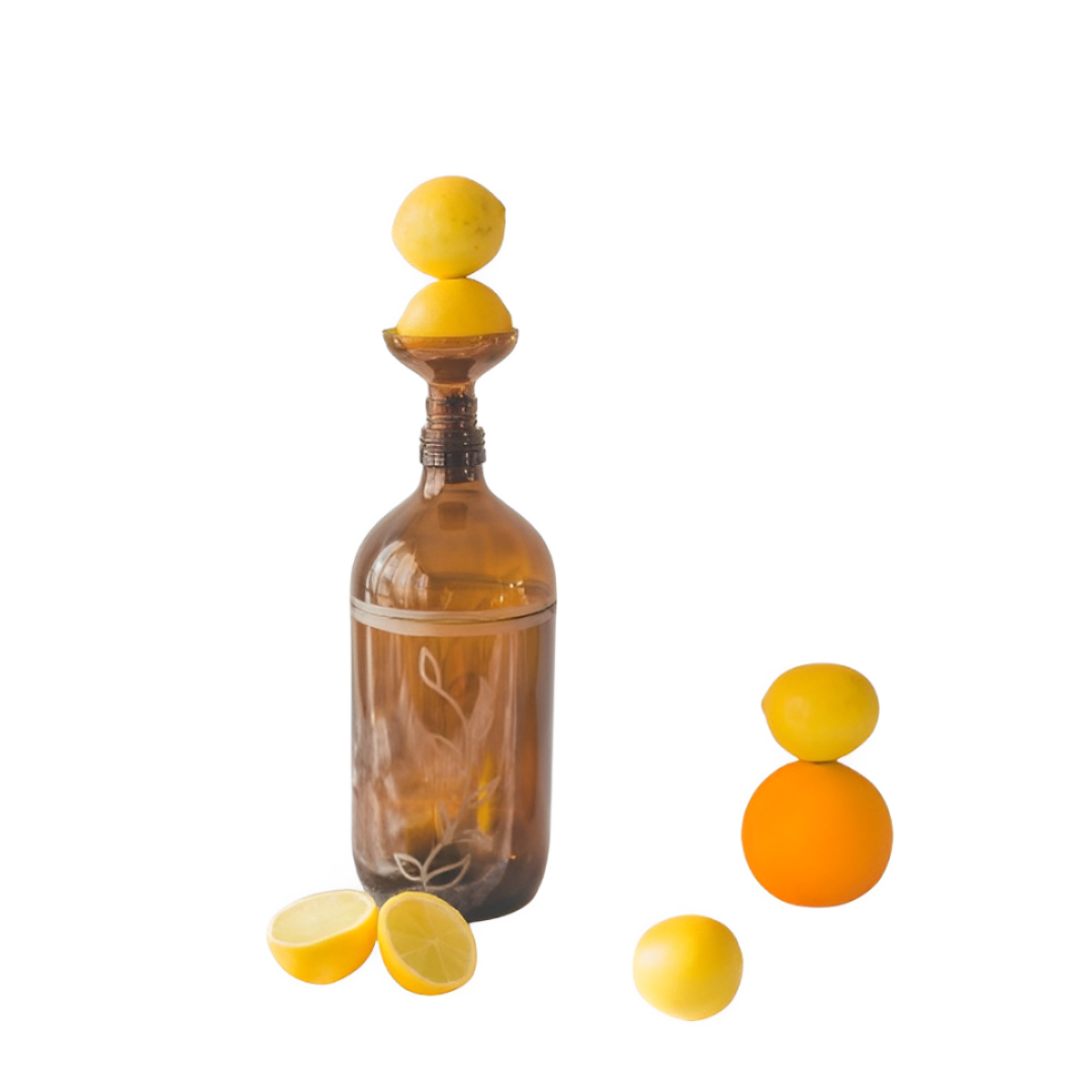 Florero planta de vidrio reutilizado