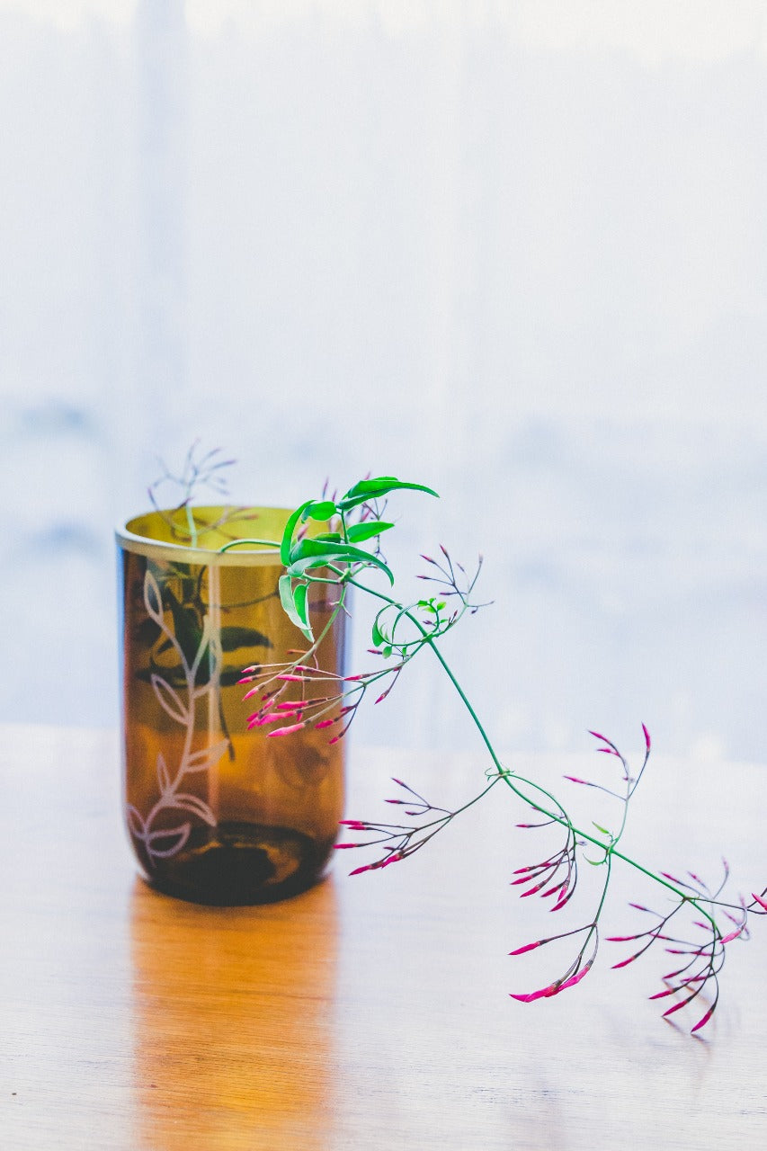 Florero planta de vidrio reutilizado