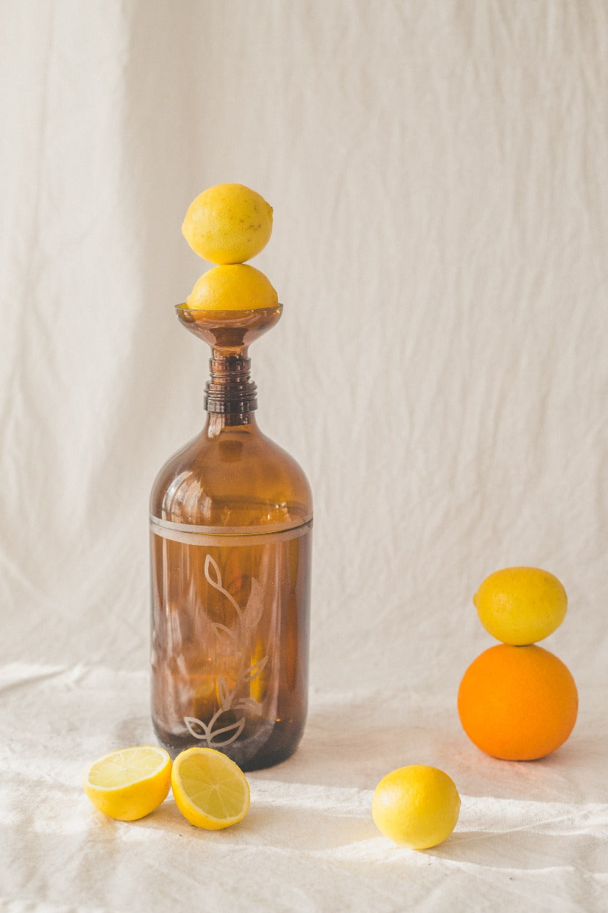 Florero planta de vidrio reutilizado